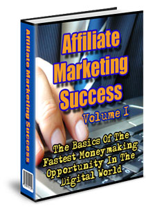Affiliate Marketing Success, Vol. 1