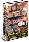 Affiliate Marketing Success, Vol. II